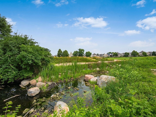 6676 Ballantrae Pl, Dublin, OH 43016 - view of yard