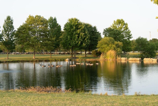 6676 Ballantrae Pl, Dublin, OH 43016 - water view