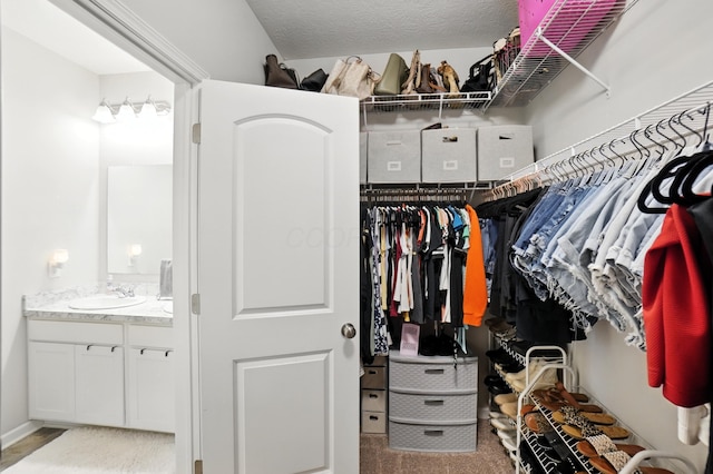 172 Rosewood Loop SE, Commercial Point, OH 43116 - walk in closet featuring a sink