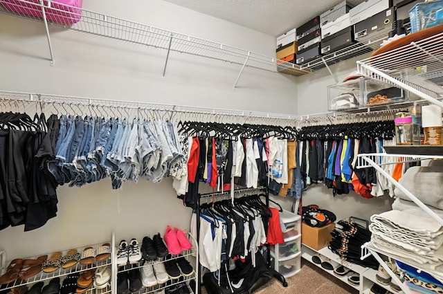 172 Rosewood Loop SE, Commercial Point, OH 43116 - walk in closet featuring carpet flooring