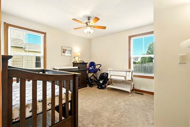 18 Wildflower Dr, Centerburg, OH 43011 - photo 21