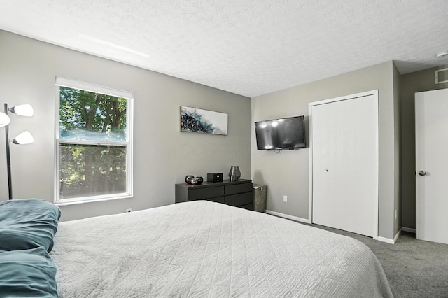 6803 Alex Dr, Canal Winchester, OH 43110 - bedroom featuring carpet floors, a textured ceiling, and a closet