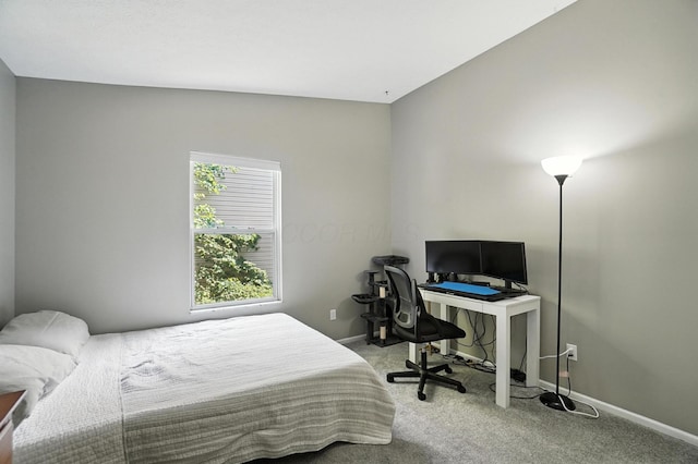 6803 Alex Dr, Canal Winchester, OH 43110 - bedroom with carpet floors and baseboards