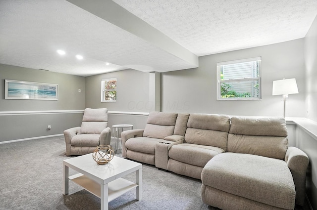 6803 Alex Dr, Canal Winchester, OH 43110 - living room with carpet, plenty of natural light, and a textured ceiling