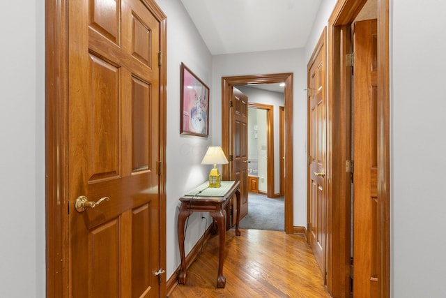 5232 Lola Way, Columbus, OH 43235 - hall with light wood finished floors and baseboards