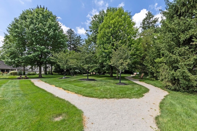 5232 Lola Way, Columbus, OH 43235 - view of community with a lawn