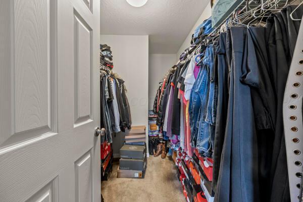 3810 Winding Path Dr, Canal Winchester, OH 43110 - walk in closet with carpet flooring