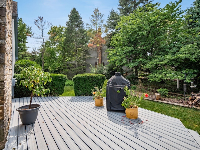 8025 Inistork Dr, Dublin, OH 43017 - photo 33