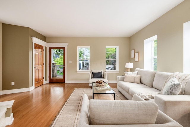 1293 Avondale Ave, Columbus, OH 43212 - living area with plenty of natural light and light wood finished floors