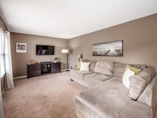 2241 Hackney Ct, Hilliard, OH 43026 - photo 10