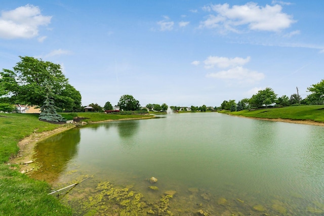 2241 Hackney Ct, Hilliard, OH 43026 - photo 30