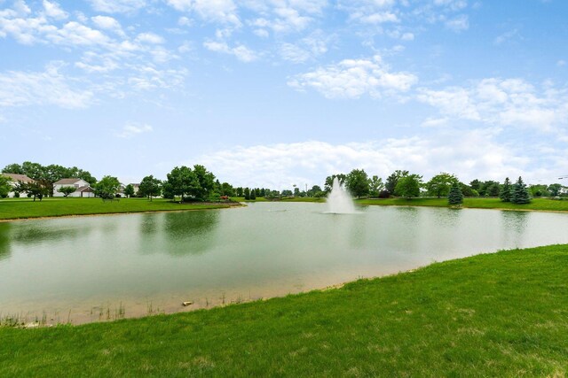 2241 Hackney Ct, Hilliard, OH 43026 - photo 31