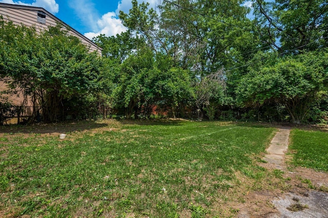 226 N Southampton Ave, Columbus, OH 43204 - view of green lawn