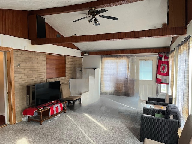 5254 Sedalia Dr, Columbus, OH 43232 - carpeted living room with healthy amount of natural light, ceiling fan, and a textured ceiling