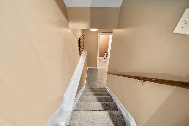 3738 Pine Bank Dr, Powell, OH 43065 - photo 88