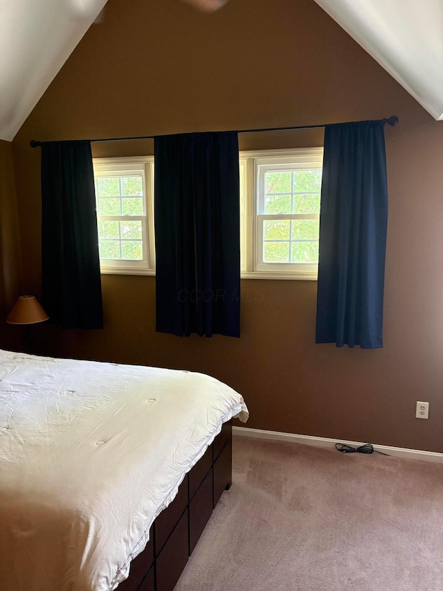 5264 Parkcrest Ln, Columbus, OH 43220 - bedroom featuring lofted ceiling and carpet floors