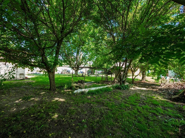 775 Koebel Ave, Columbus, OH 43207 - view of yard