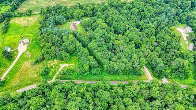 15365 State Route 678, Rockbridge, OH 43149 - photo 19