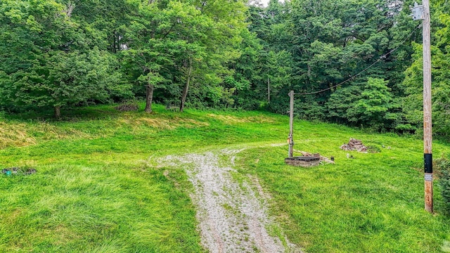 15365 State Route 678, Rockbridge, OH 43149 - photo 3