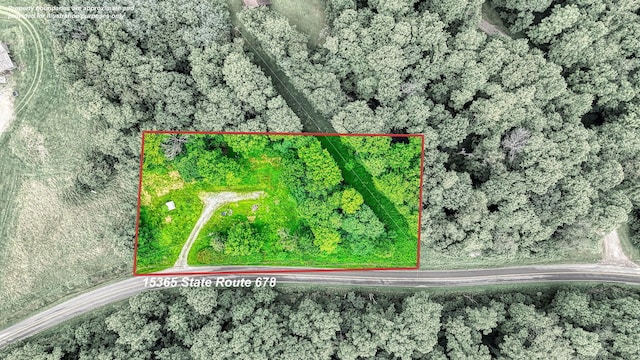 15365 State Route 678, Rockbridge, OH 43149 - photo 12