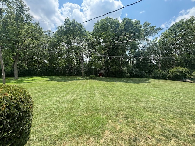 3281 Darracq Cir, Columbus, OH 43223 - view of green lawn