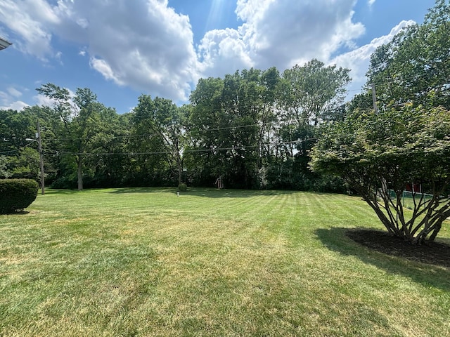 3281 Darracq Cir, Columbus, OH 43223 - view of green lawn