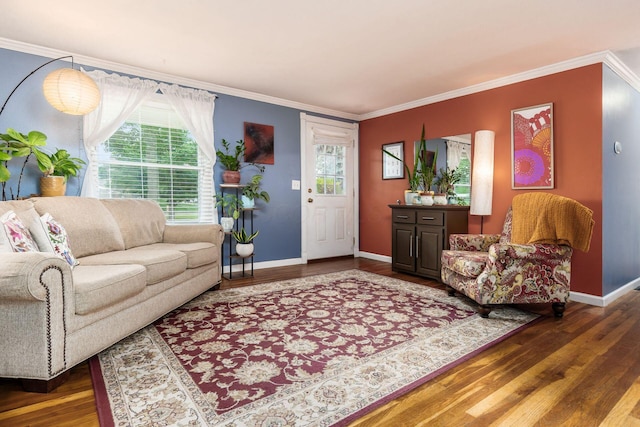 5950 Ambleside Dr, Columbus, OH 43229 - living room with ornamental molding, wood finished floors, and plenty of natural light