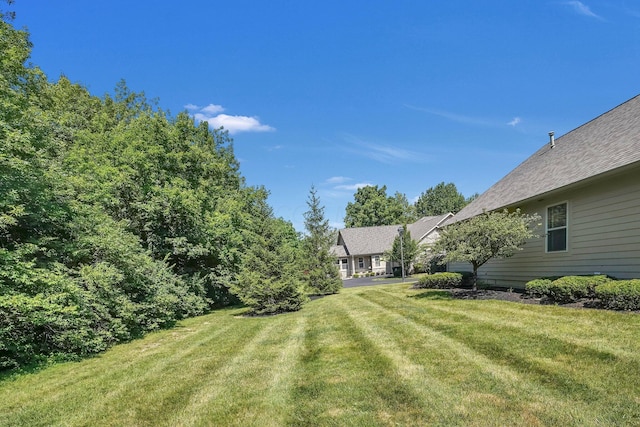 4887 Rays Cir, Dublin, OH 43016 - view of green lawn