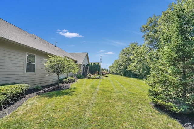 4887 Rays Cir, Dublin, OH 43016 - view of grassy yard