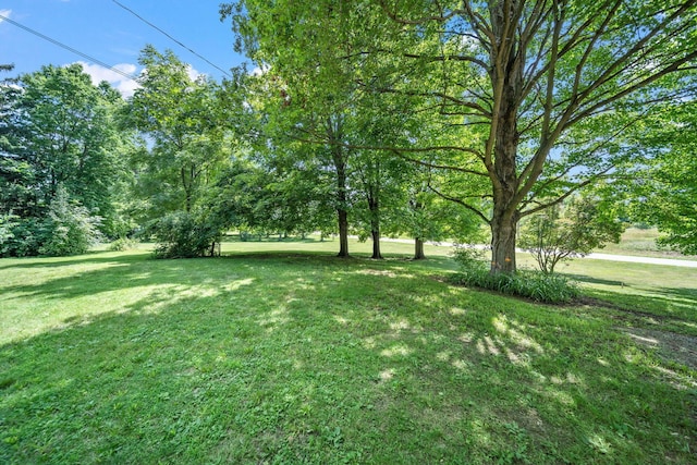 7186 Prospect Dublin Rd, Prospect, OH 43342 - photo 44