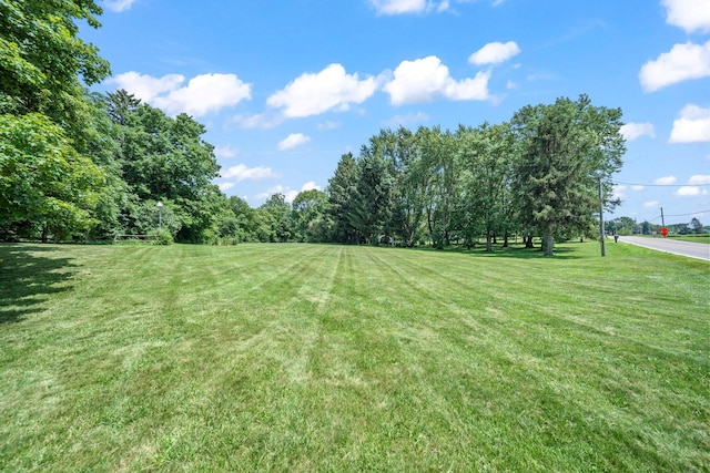 7186 Prospect Dublin Rd, Prospect, OH 43342 - photo 45