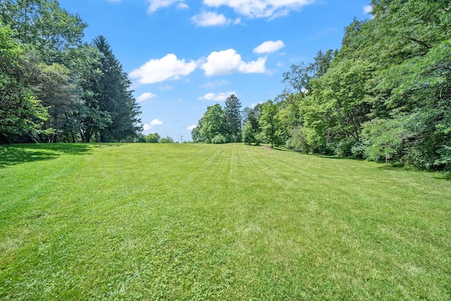 7186 Prospect Dublin Rd, Prospect, OH 43342 - photo 48