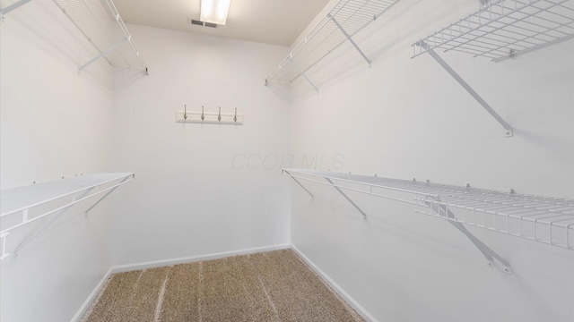 733 Windsor Ln, Heath, OH 43056 - spacious closet with carpet flooring