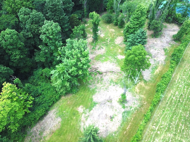 8870 Olentangy River Rd, Delaware, OH 43015 - photo 17