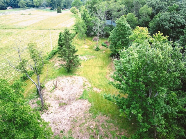 8870 Olentangy River Rd, Delaware, OH 43015 - photo 13