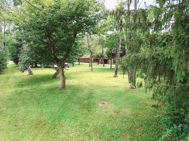8870 Olentangy River Rd, Delaware, OH 43015 - photo 3