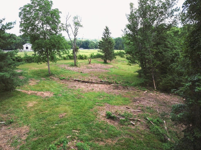 8870 Olentangy River Rd, Delaware, OH 43015 - photo 10