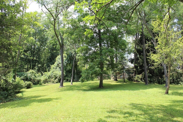 8870 Olentangy River Rd, Delaware, OH 43015 - photo 11