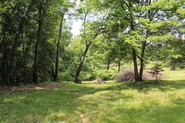 8870 Olentangy River Rd, Delaware, OH 43015 - photo 16