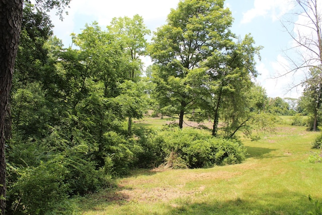 8870 Olentangy River Rd, Delaware, OH 43015 - photo 18