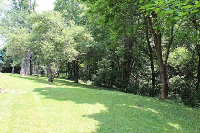 8870 Olentangy River Rd, Delaware, OH 43015 - photo 21