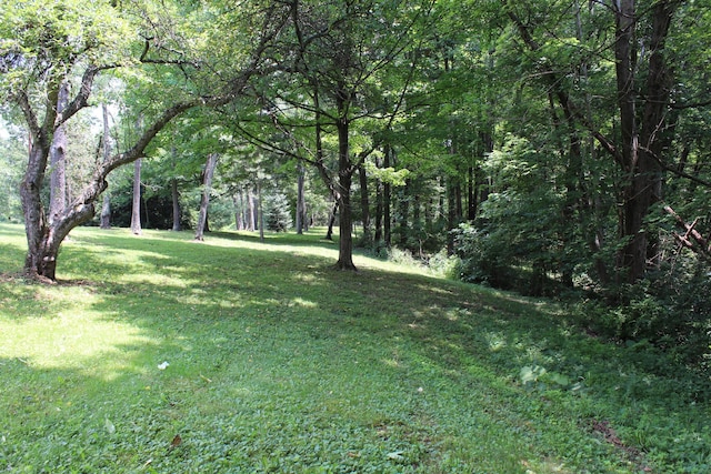 8870 Olentangy River Rd, Delaware, OH 43015 - photo 23