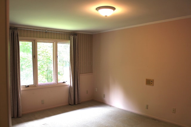 8870 Olentangy River Rd, Delaware, OH 43015 - photo 42