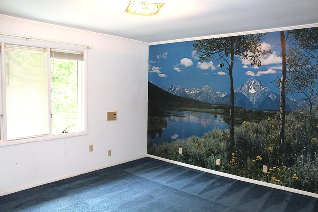 8870 Olentangy River Rd, Delaware, OH 43015 - photo 49