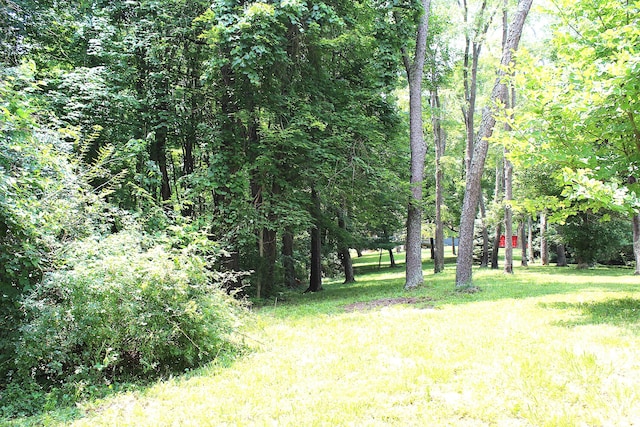 8870 Olentangy River Rd, Delaware, OH 43015 - photo 53
