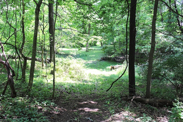 8870 Olentangy River Rd, Delaware, OH 43015 - photo 55