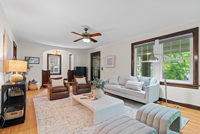 99 E N Broadway St, Columbus, OH 43214 - living room featuring plenty of natural light, arched walkways, wood finished floors, and crown molding