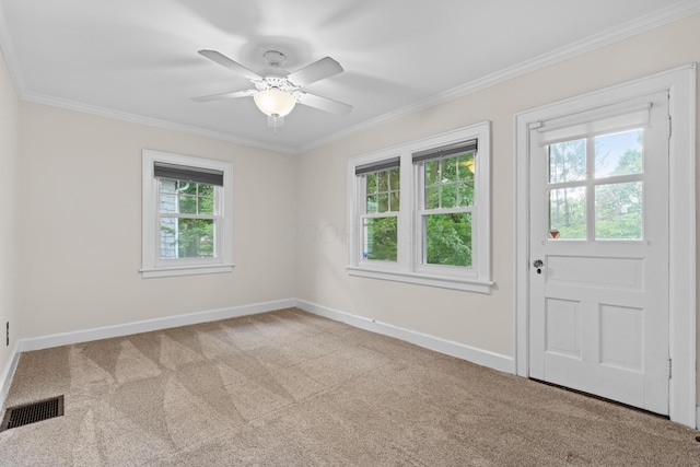 99 E N Broadway St, Columbus, OH 43214 - empty room with carpet floors, crown molding, and ceiling fan