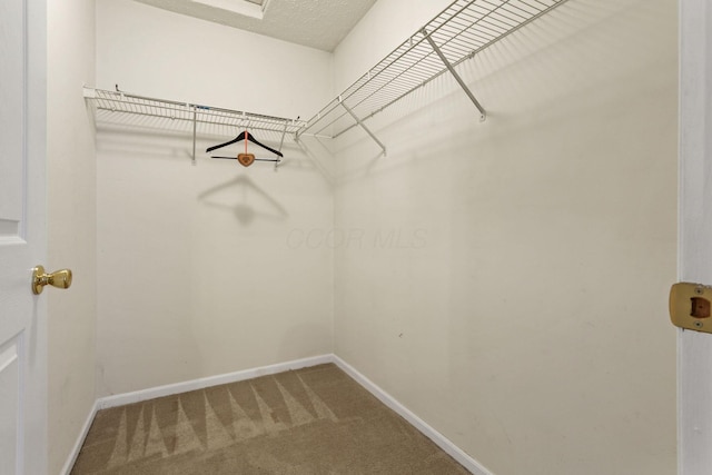 892 Shelbourne Pl, Newark, OH 43055 - walk in closet with carpet