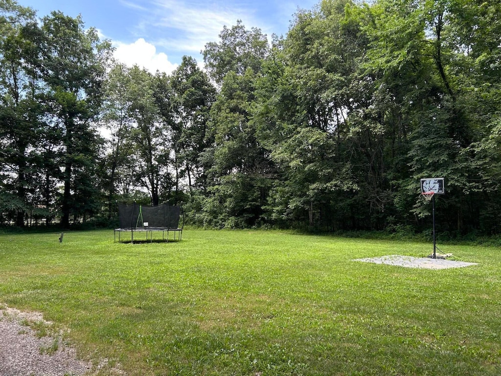 340 State Route 4, Marion, OH 43302 - view of grassy yard with a trampoline